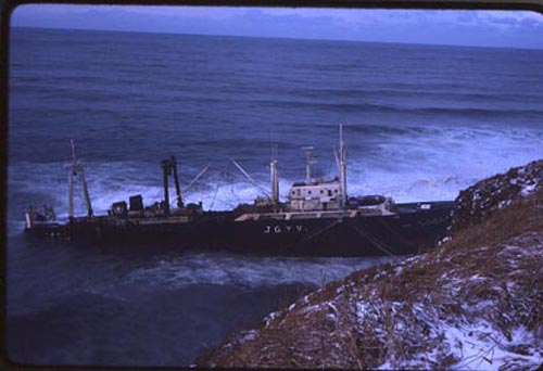Photo of M.S. Ryuyo Maru No. 2 aground St. Paul at Tolstoi Point.