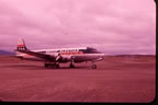 Thumbnail photo of Reeve Aleutian airplane.