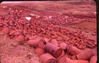 Thumbnail photo of piles of rusted barrels.