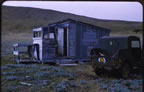 Thumbnail photo of old shack with Jeep No. 36 near rookeries.