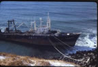 Thumbnail photo of M.S. Ryuyo Maru No. 2 aground St. Paul at Tolstoi Point.