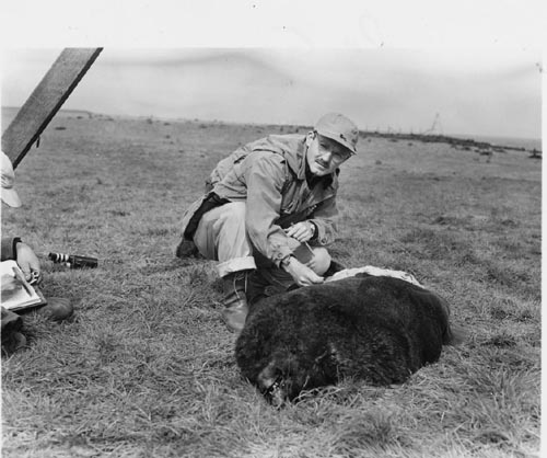 Photo of Dr. George A. Bartholomew crouching by a deal seal.