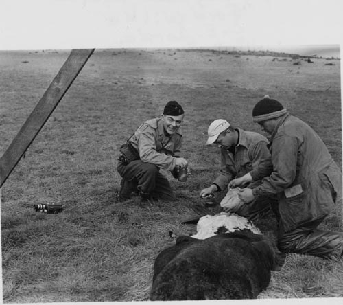 Photo of Dr. Raymond Aretos, Ford Wilke, and L.E. Jordan kneeling by dead seal.