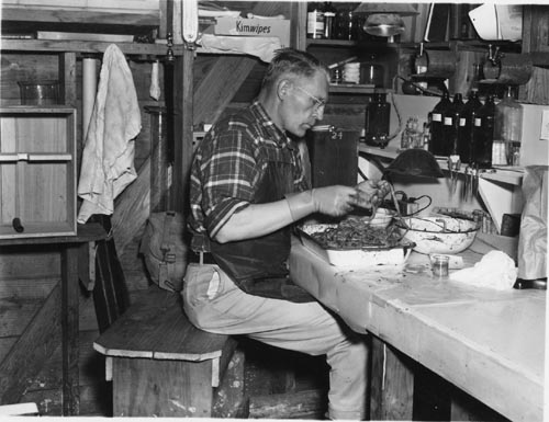 Photo of Dr. O. Wilford Olsen sitting at a work table.