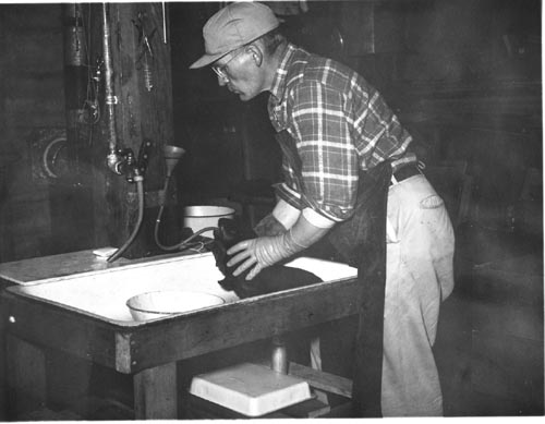 Photo of Dr. O. Wilford Olsen standing at a sink.