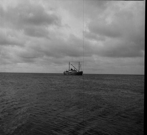 Photo of ship M.V. Penguin.