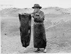 Thumbnail photo of a man holding a freshly blubbered fur-seal skin.