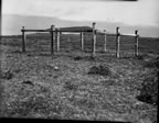 Thumbnail photo of reindeer exclosure near Lake Hill constructed in June 1953.