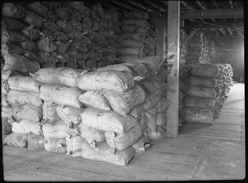 Photo of sacks of seal meal inside the By-Products Plant.