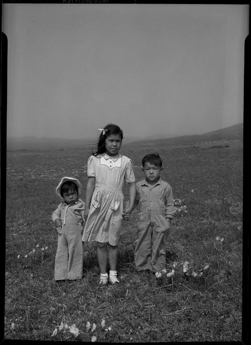 Photo of three children standing in flower strewn field.