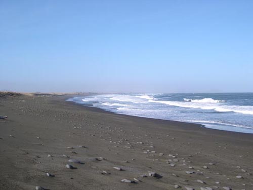 Photo of the beach at Lukanin Bay.