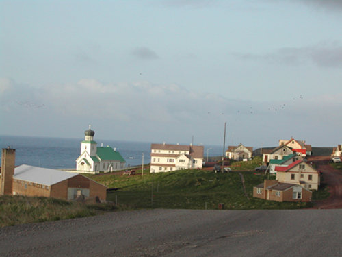 Photo of St. George Village.