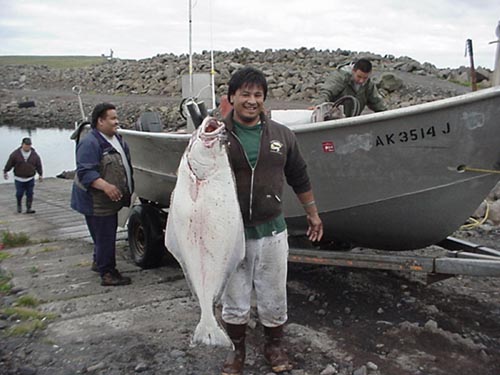 Photo of man displaying a freshly caught halibut.