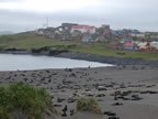 Thumbnail photo of Zoltoil Sands, with St. Paul Village in the background.