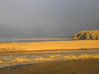 Thumbnail photo of golden tundra against stormy skies.