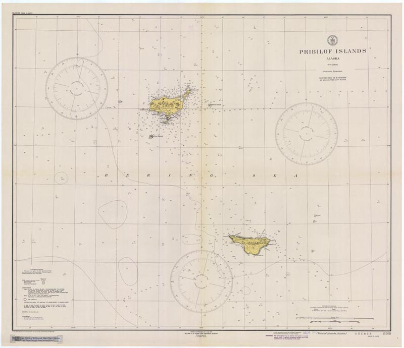 Map of Pribilof Islands Nautical Chart from 1910.