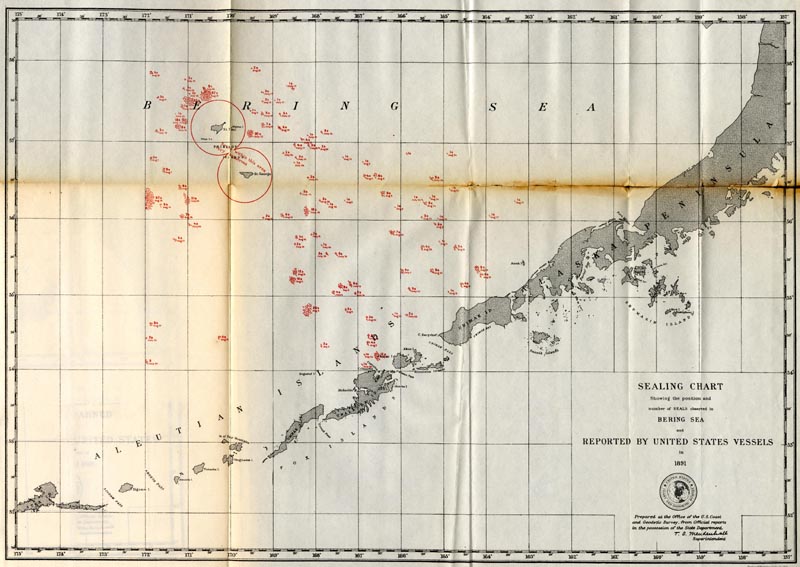 Map of sealing chart showing the position and number of seals observed in the Bering Sea and reported by United States Vessels in 1891.