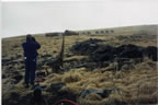 Thumbnail photo of a person at the North-South Port Fuel Supply Line prior to remediation.