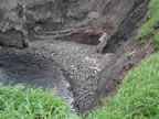 Thumbnail photo of debris strewn rocky shore at the Ocean Dump Site.