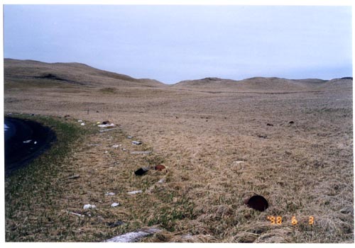 Photo of barrels and debris at the north end of the Salt Lagoon.