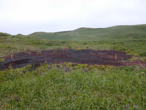 Photo of Scoria pad at the Oil Drum Dump Site.