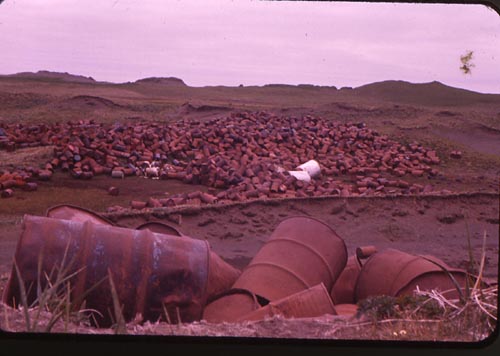 Photo of "Avenue of Barrels" at the Oil Drum Dump Site showing piles of empty rusting barrels.