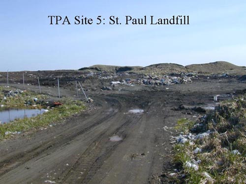 Photo of view of St. Paul Landfill Cell C from the north, prior to remediation showing a dirt road with heavily scattered debris.