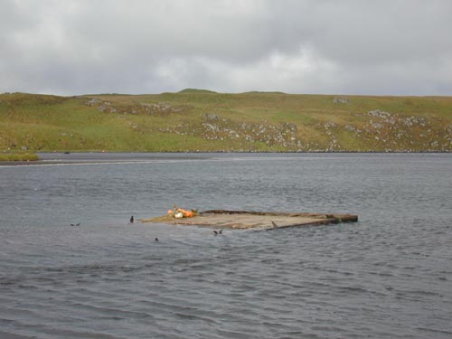 Photo of large slab in water.