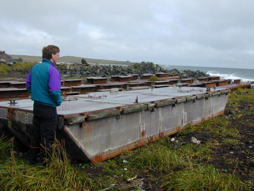 Photo of a person standing on shore near a large rusted metal slab.