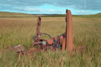 Thumbnail photo of a rusted bulldozer in grassy bog prior to site remediation.