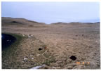 Thumbnail photo of barrels and debris at the north end of the Salt Lagoon.