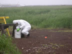 Thumbnail photo of NOAA staff wearing white protective gear removing asbestos fragments from NOAA Tract 50.
