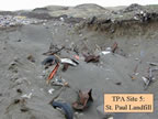 Thumbnail photo of municipal solid waste in St. Paul Landfill Cell C, prior to remediation showing partially buried debris in sand and along hillside.