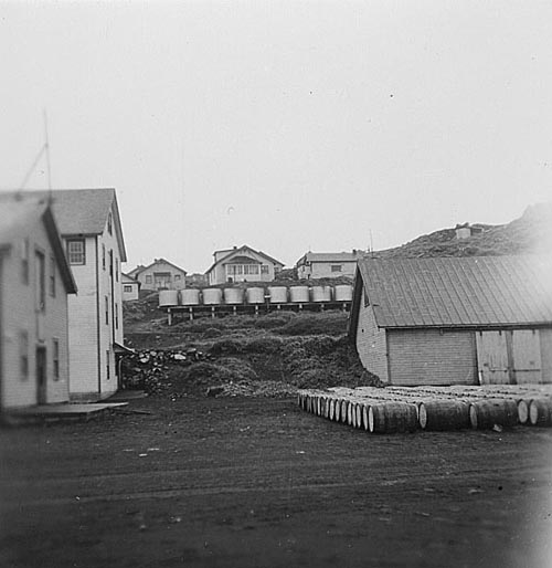 Photo of rows of barrels outside buildings.