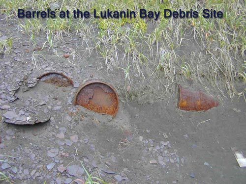 Photo of partially buried barrels at the Lukanin Bay Debris Site.