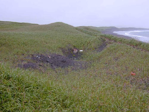 Photo of a patch of dirt along a grassy hillside.