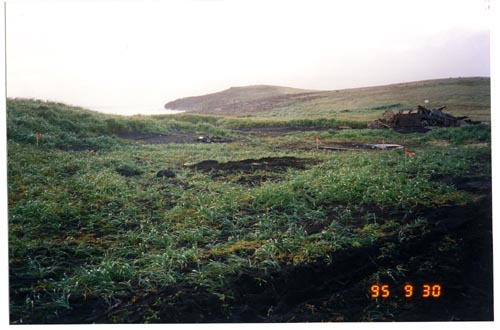 Photo of a grassy area with a pile of debris on the right side.