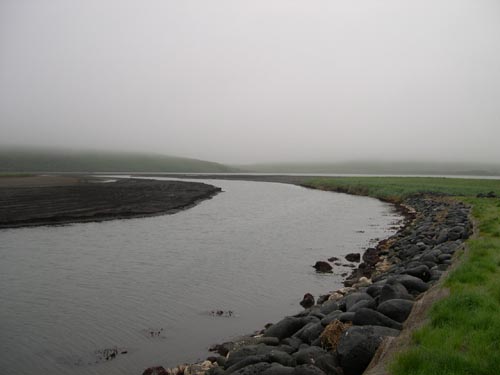 Photo of misty shoreline.