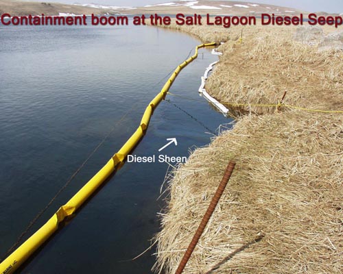 Photo of yellow containment boom lining shore at the Salt Lagoon Diesel Seep.