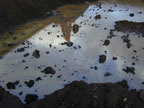 Thumbnail photo of a pool of water with a thin layer of rainbow oil on top.