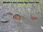 Thumbnail photo of partially buried barrels at the Lukanin Bay Debris Site.