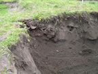 Thumbnail photo of the side of hole showing buried debris.