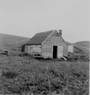 Photo in black and white of building.