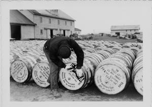 Photo of man stenciling labels on rows of barrels.