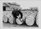 Photo of man examing rows of barrels.