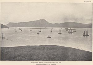 Photo of fleet of small boats.