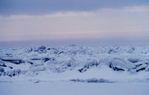 Photo of snow and sea ice.